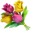 Flowershow logo